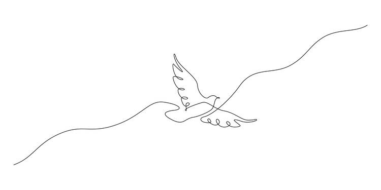 a line drawing of a dove, very simple black line on white background