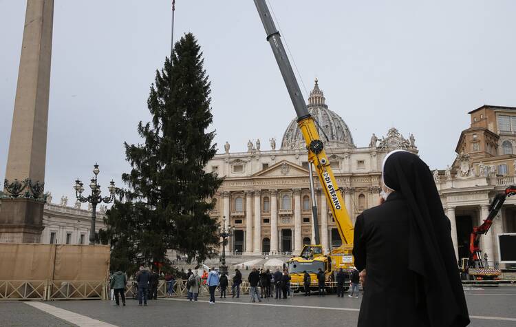 a nun stands facing away from the camera, a crane is hoisting a large christmas tree in front of the vatican