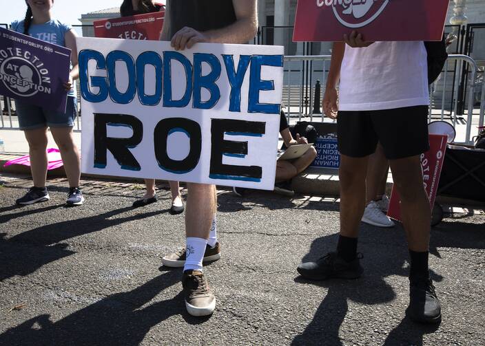 A painted sign on paper reading "Goodbye Roe"