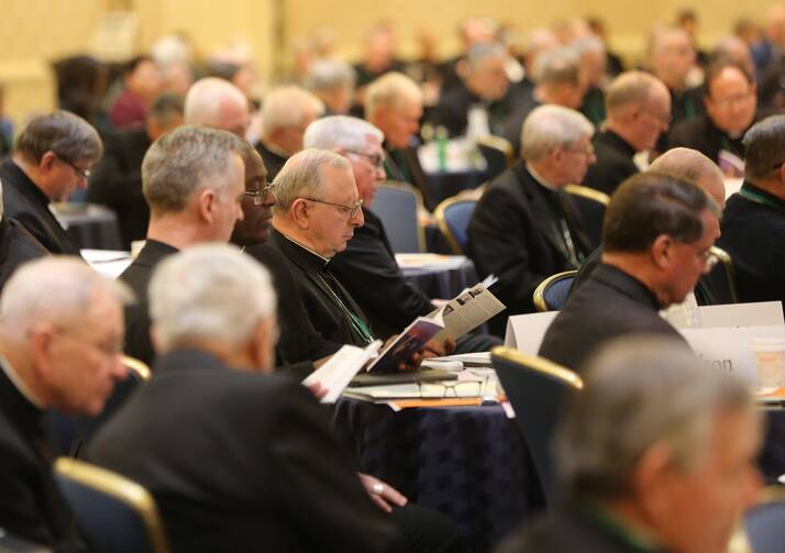 usccb-fall-meeting-2022-cns