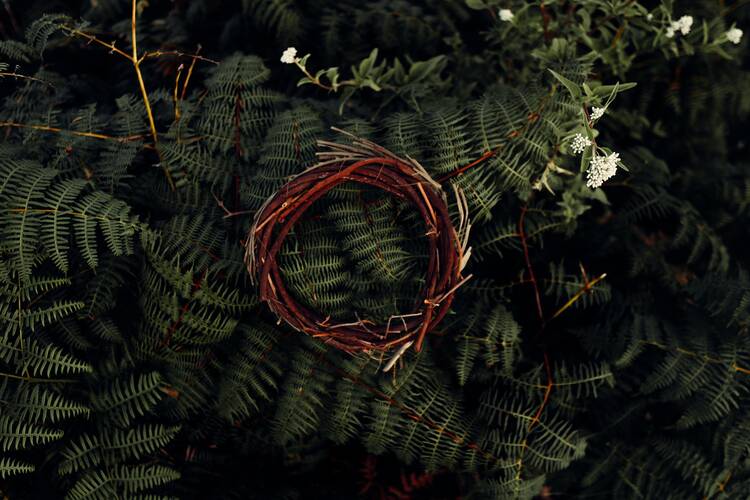 crown of thorns on a dark green leafy background