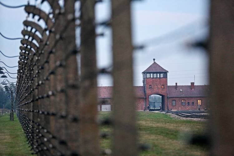 Fencing is pictured at the Auschwitz-Birkenau Nazi death camp in Oswiecim, Poland.