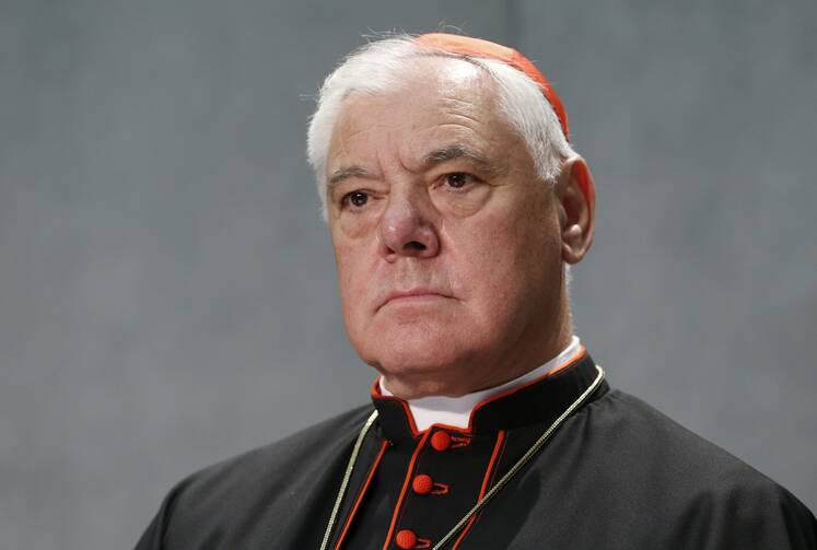 Cardinal Gerhard Muller appear against a grey background