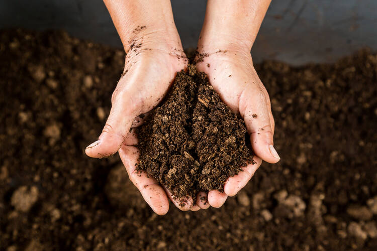 Human hands hold composted soil 