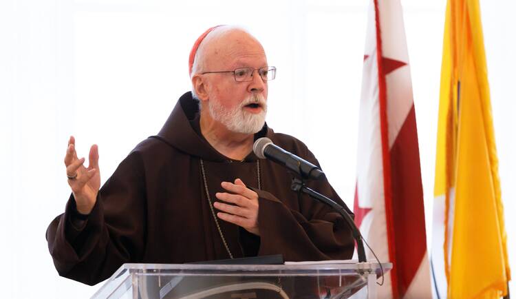 sean o'malley speaks wearing a franciscan robe at a lectern with a flag behind him