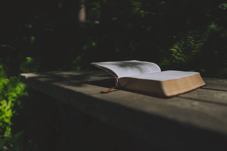 Bible on brown table in greenery