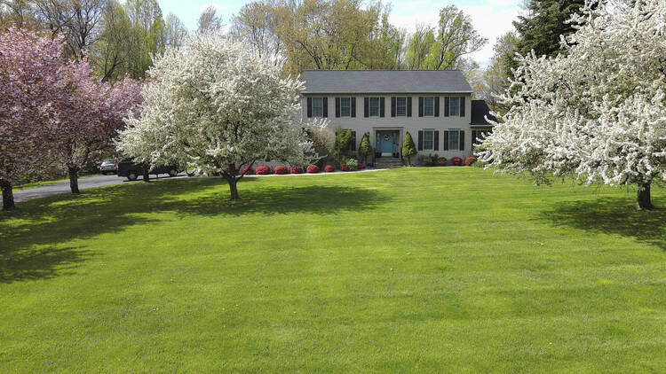 A large single-family house is seen on a small hill above a sweeping green lawn. (iStock/Alex Potemkin)