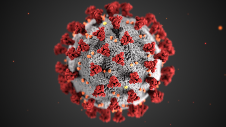 This illustration, created at the Centers for Disease Control and Prevention (CDC), reveals ultrastructural morphology exhibited by coronaviruses. 