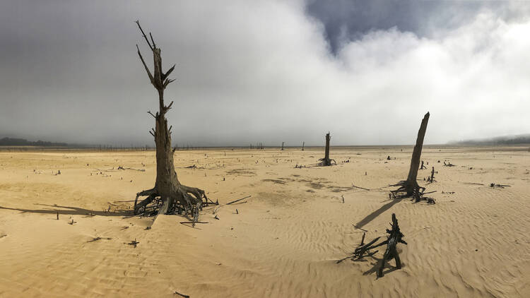 The Theewaterskloof Dam, a key source of water for Cape Town, South Africa, is completely dry in this April 16, 2017, photo. (AP Photo/Halden Krog, File)