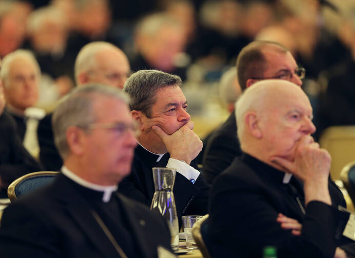 Bishops listen to a speaker Nov. 13 during the fall general assembly of the U.S. Conference of Catholic Bishops in Baltimore (CNS photo/Bob Roller). 