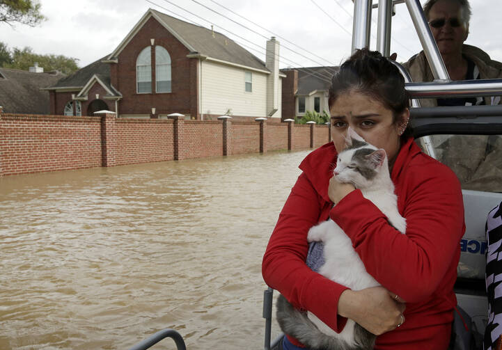 A woman holds her cat as she rides a boat out of her flooded Houston neighborhood on Aug. 29. (AP Photo/Charlie Riedel)