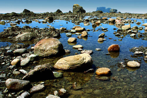 Tidepools at Olympic National Park in Washington state (Wikimedia Commons/Brian W. Schaller)
