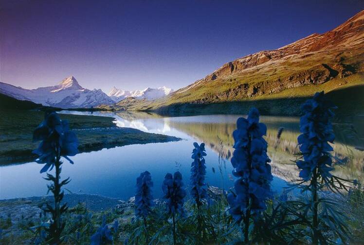 Bachalpsee Lake in the Swiss Alps (Photo via Wikimedia Commons)