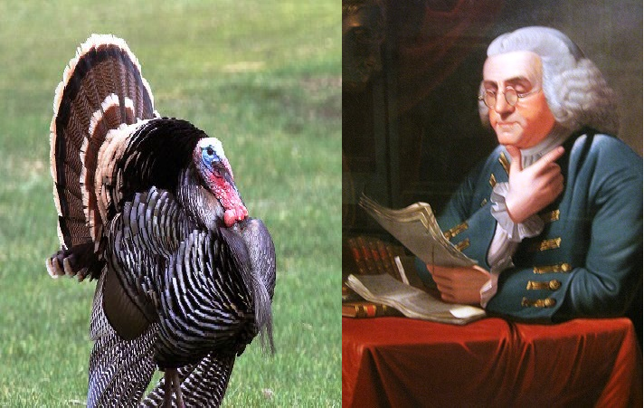 Benjamin Franklin and His Turkey