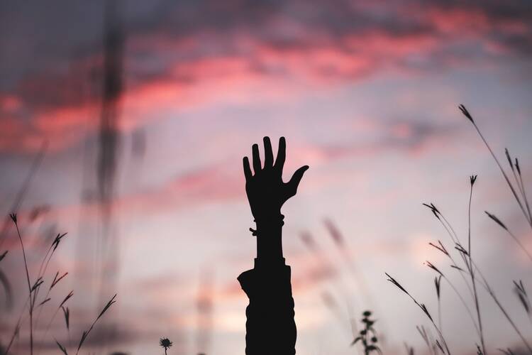 (Fotografía: Bryan Minear / Unsplash) 