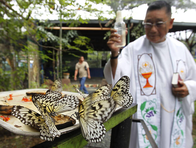 A priest sprinkles holy water on butterflies during the blessing of the animals in Manila, Philippines, 2012.