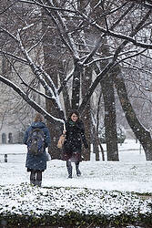 Students walk amid the snowfall on campus of Catholic University of America in Washington Students at The Catholic University of America walk amid the snowfall on the campus in Washington Dec. 10. (CNS photo/Tyler Orsburn) (Dec. 10, 2013)