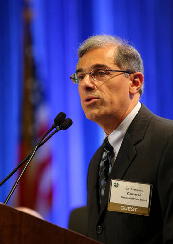 Francesco Cesareo, chairman of the National Review Board, pictured at last year's spring meeting in New Orleans. (CNS photo/Bob Roller)