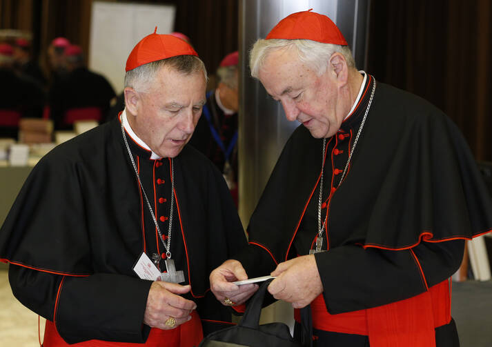 Cardinals John Dew of Wellington, New Zealand, and Vincent Nichols of Westminster, England, talk before a session of the Synod of Bishops on the family at the Vatican, Oct. 22 (CNS photo/Paul Haring).