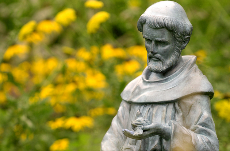 biography of saint francis of assissi essay biography of saint francis of assissi essay