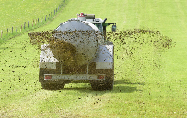 In the Ohio and Upper Mississippi river basins, 10 million metric tons of commercial fertilizer is applied each year, and much of it ends up in our waterways. (iStock/filmfoto)