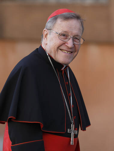 German Cardinal Walter Kasper arrives for a meeting of cardinals in the synod hall at the Vatican on Feb. 21.
