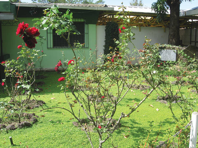 HOPE BLOOMS. Obdulio Ramos, the husband of Elba, planted roses on the lawn where the Jesuits were assassinated, along P with Elba and her daughter, at the University of Central America, San Salvador.