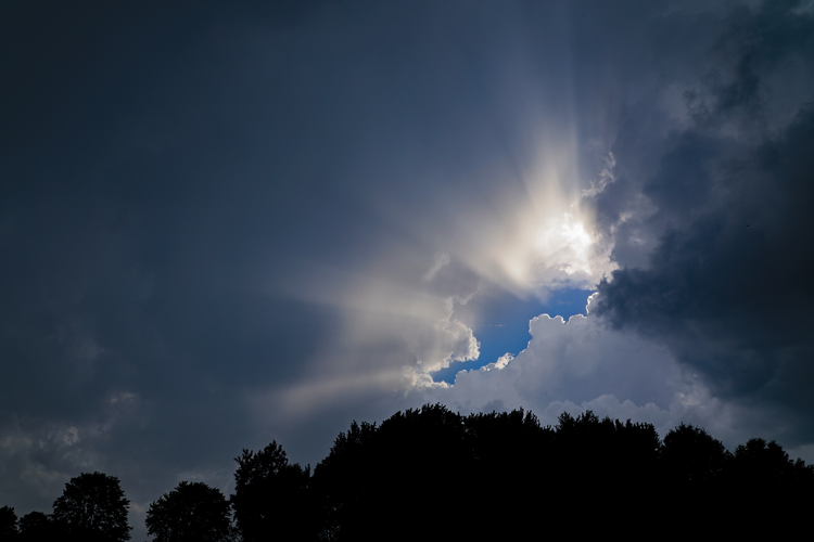 at the ascension christ lifts our history into heaven word sunday