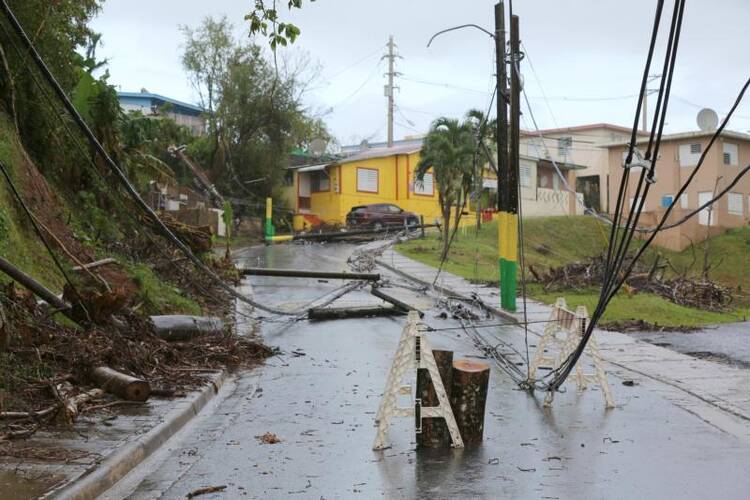 Downed power lines are seen Oct. 24 in Las Marias, Puerto Rico, more than one month after Hurricane Maria devastated the island. (CNS photo/Bob Roller) 