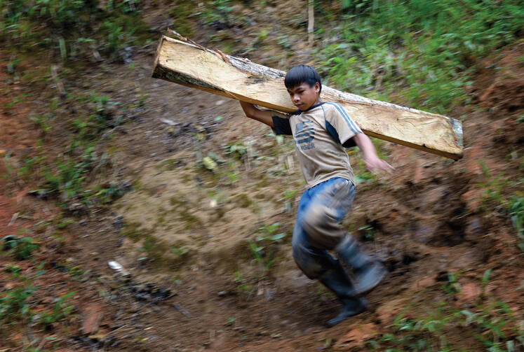 Work of Little Hands: A boy carries timber destined for a mine tunnel in the Philippines