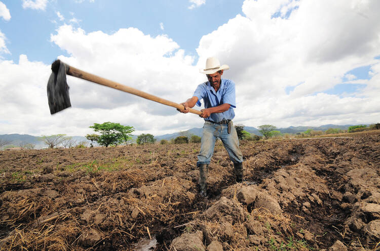 SOWING THE FUTURE. Can private investment be put to work against poverty? A farmer digs irrigation channels in Alauca, Honduras.