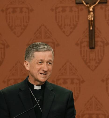 Archbishop Blase J. Cupich addresses media and other bishops during a news conference Sept. 20 at the Quigley Center in Chicago. (CNS photo/Karen Callaway, Catholic New World)