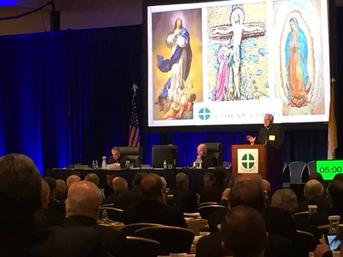 Archbishop Kurtz addresses the U.S. bishops.
