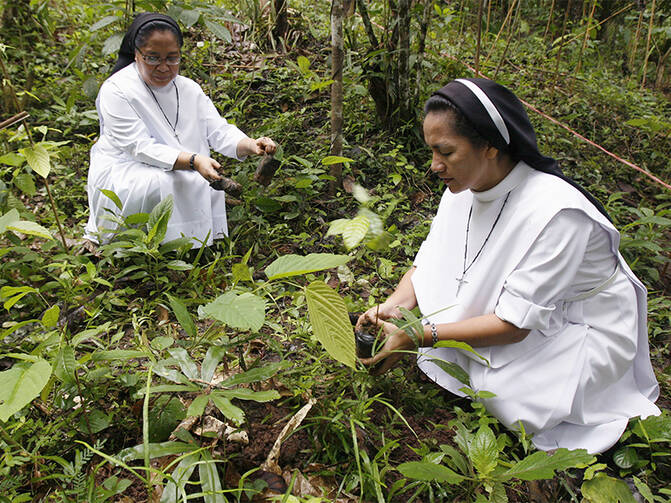 Catholic nuns plant mahogany tree saplings during a Feast of the Forest event in Cagueban town in the western Philippines, on June 30, 2012. Photo courtesy of Reuters/Romeo Ranoco
