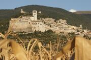 In this 2011 file photo, the Basilica of St. Francis with its bell tower is pictured beyond a field of corn in Assisi, Italy. (CNS photo/Paul Haring)