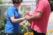 A volunteer in a blue shirt hands a plastic bag of potatoes to a person in need at a food pantry in July 2021.