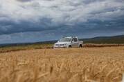 A Volkswagen pickup truck in a field of grain under a stormy gray sky.