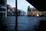 Buildings and palm trees are covered by floodwaters.