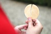 hands hold a broken eucharist host