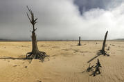 The Theewaterskloof Dam, a key source of water for Cape Town, South Africa, is completely dry in this April 16, 2017, photo. (AP Photo/Halden Krog, File)