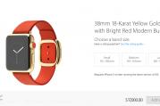 A sign of the times? Apples $17k watch.