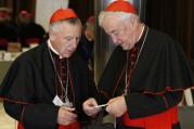 Cardinals John Dew of Wellington, New Zealand, and Vincent Nichols of Westminster, England, talk before a session of the Synod of Bishops on the family at the Vatican, Oct. 22 (CNS photo/Paul Haring).
