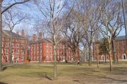 The Harvard Yard
