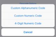 This is why forcing Apple to help the F.B.I. won't solve any problems in the long run. (Screenshot from iOS)