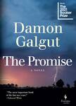 book review the promise by damon galgut