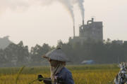 A farmer pulls a cart transporting grains on a rice paddy field near a cement factory just outside Hanoi, Vietnam. (CNS pho to/Kham, Reuters) 