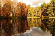 Autumn leaves are reflected on Loch Dunmore in Perthshire, Scotland (CNS photo/Russell Cheyne, Reuters)
