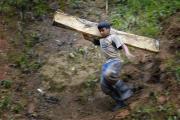 A boy carries a wooden timber destined for a mine tunnel in Pamintaran, a remote gold mining community near Maragusan on the Philippines' southern island of Mindanao.