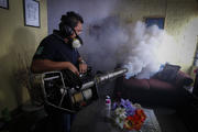 A worker of the Salvadoran Ministry of Health fumigates a house Jan. 21 near San Salvador. Salvadoran authorities began the fumigation process to reduce the presence of the mosquito that transmits the Zika virus. (CNS photo/Oscar Rivera, EPA)