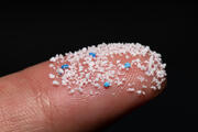 The microplastics discovered in human placentas were much smaller, invisible to the naked eye, but they are part of a rapidly worsening pollution crisis. (iStock/pcess609)